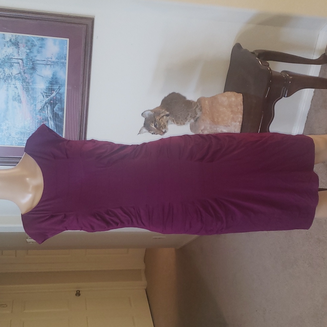 kut from the kloth mollee knit dress Betsey Johnson 8 cap sleeve ruched sides bodycon style cocktail Ethiopian cross